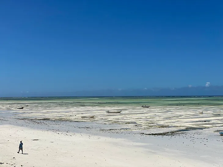Discover the True Beauty of Zanzibar: Exploring Paje and Dongwe