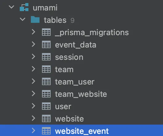 A Guide to Using Umami Analytics: Data Collection and API Usage