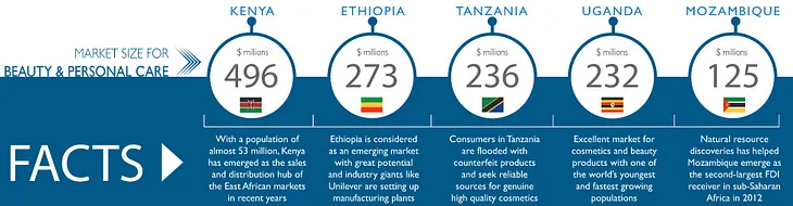 Investment Opportunities in the African Cosmetics Industry