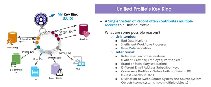 Looking Beyond the Golden Record: Unified Profiles in Salesforce Data Cloud