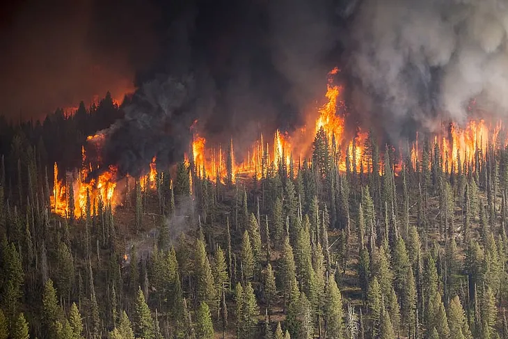 Radioactive Smoke: What A Wildfire In Chernobyl Would Mean To Europe