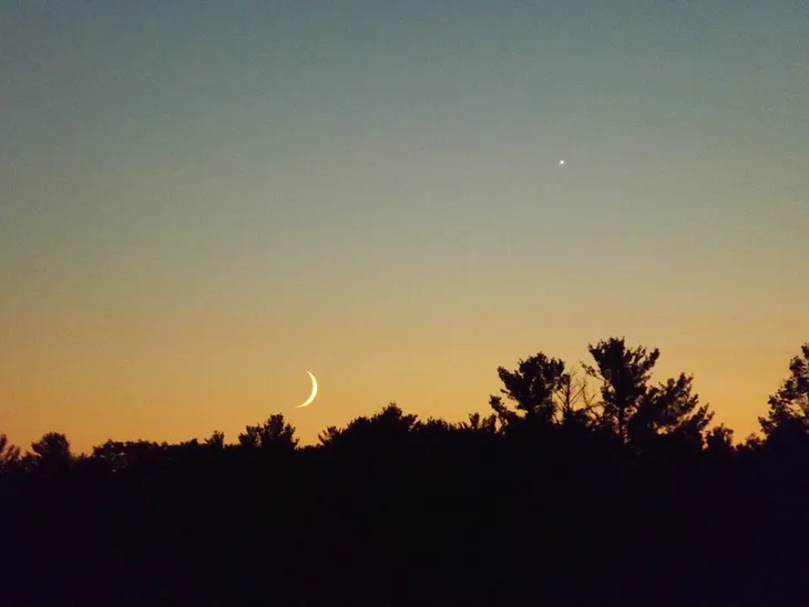 Venus and a crescent moon in a clear dusk sky, above silhouetted trees.