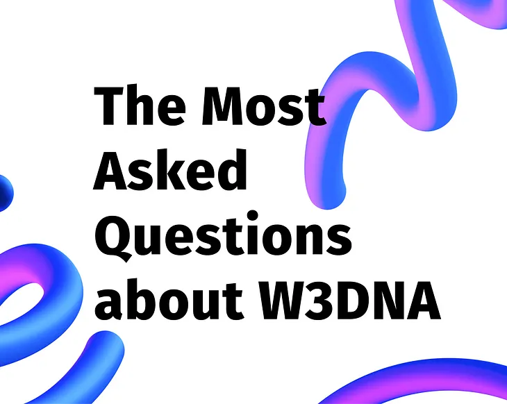 The Most Asked Questions about W3DNA