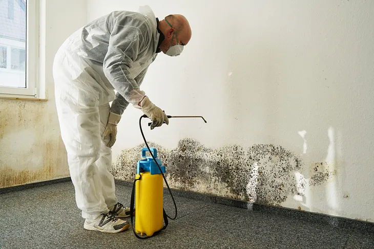 Mold Remediation Companies Near Me in the US: Your Guide to Finding the Right Service — Call +1…