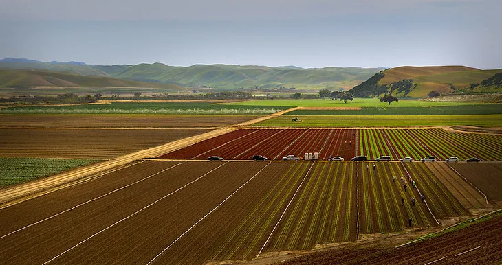 Despite Farm Bill Delays, a Roadmap for Food System Change Is Here