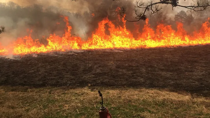 Controlled Burns and Why We Need Them