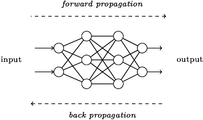 Illuminating Neural Networks: Exploring Forward and Backward Passes with Graphviz