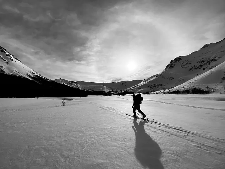 How the Brain Decides What to Remember — and What to Let Go