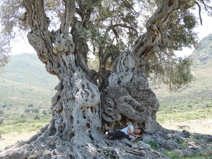 SECRET TRAINING TECHNIQUES OF ANCIENT HELLENIC CULTURE