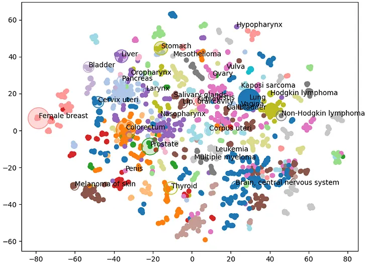 Exploring cancer types with neo4j
