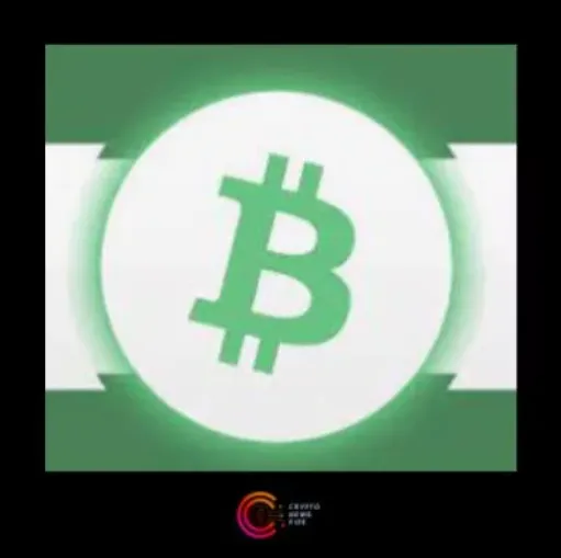 Bitcoin Cash: A popular Cryptocurrency