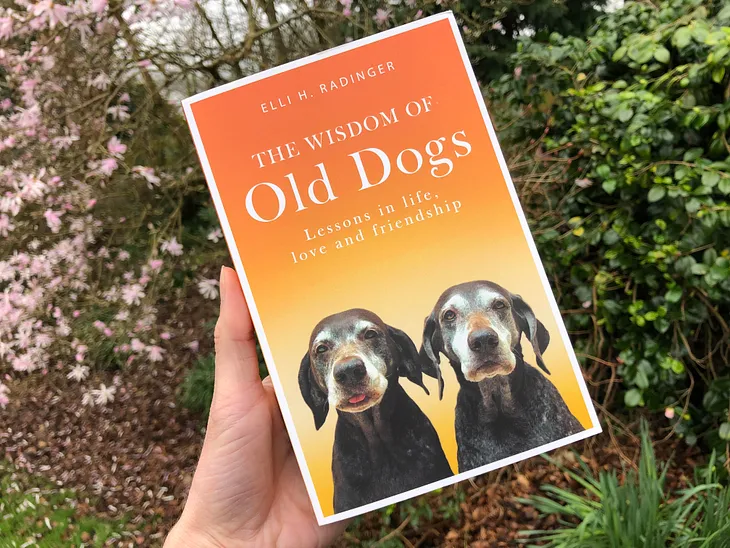 image of a book “The wisdom of old dogs”