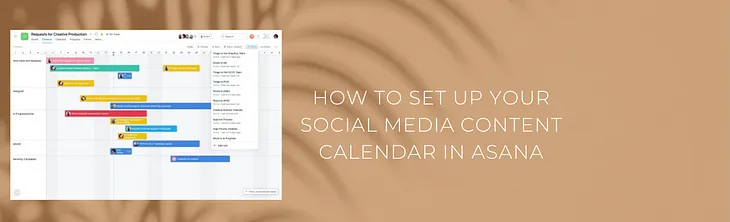 How To Set Up Your Social Media Content Calendar in Asana