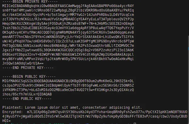 Encrypt and Decrypt your data using AES and RSA algorithm