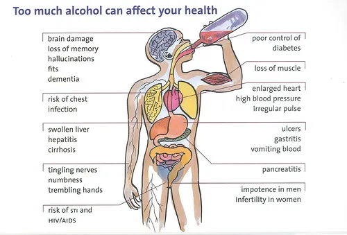 Effects Of Alcohol On Our Body — Brazos Minshew