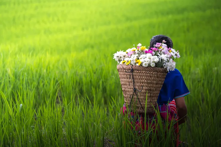 Gender Equity is Not the Loss of Hmong Culture.