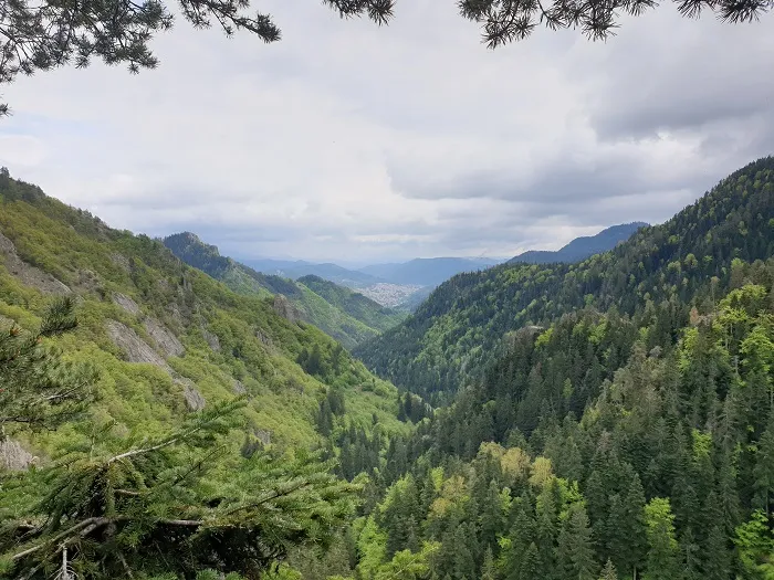 Green mountain views down valley with town in the distance