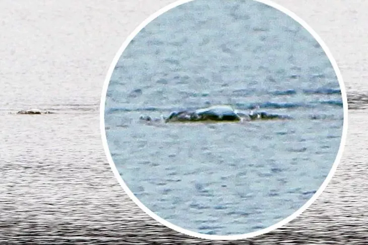 Game-Changing Loch Ness Monster Video Shows ‘Creature’ Breaking Surface