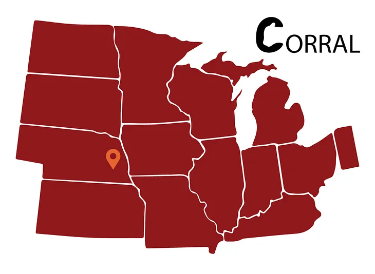 Why We Invested in Corral