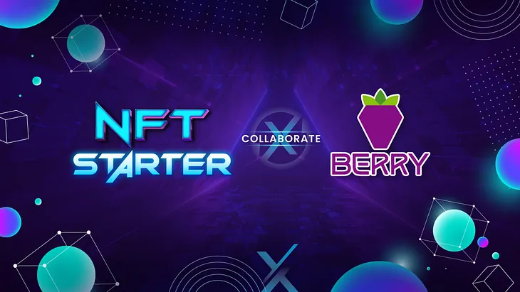 Berry Data will officially go in the partnership with NFT-Starter