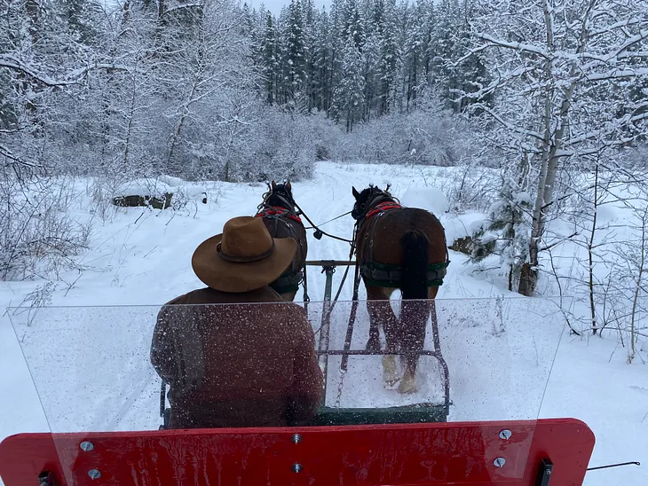 Step Inside a Snowglobe/Hallmark Movie for the Holidays in Leavenworth, Washington