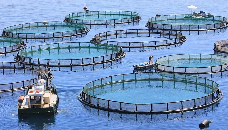 Sustainable Aquaculture