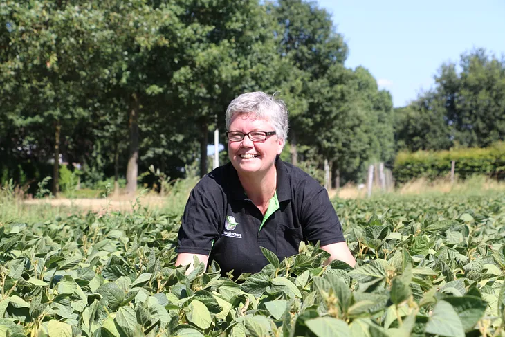 Soya farmers, so good: How Dutch growers are taking on a South American super-crop