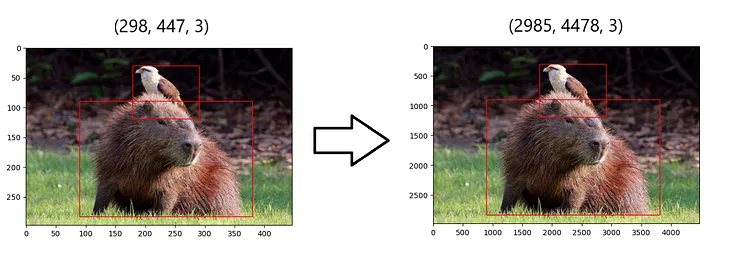 Object Detection: Resizing Bounding Box After Prediction