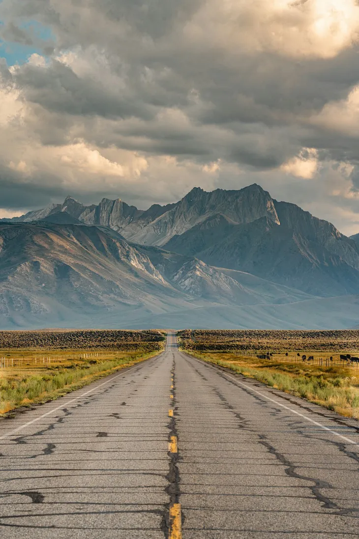 The Allure of Mountain Views.