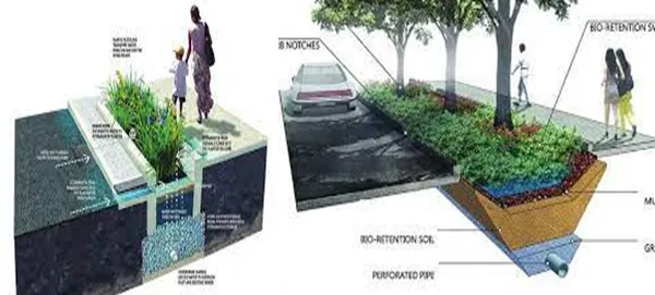 Bioswale for Rainwater Drain: A Sustainable Solution