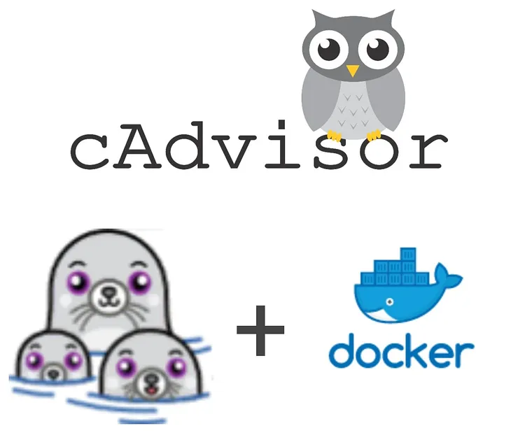 cAdvisor with Podman and Docker: Navigating Post-RHEL 8 Challenges