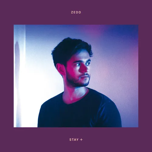 Zedd STAY+: COLLABORATIONS WITH SINGERS, REMIXES, AND MEGA NONSTOP MIX