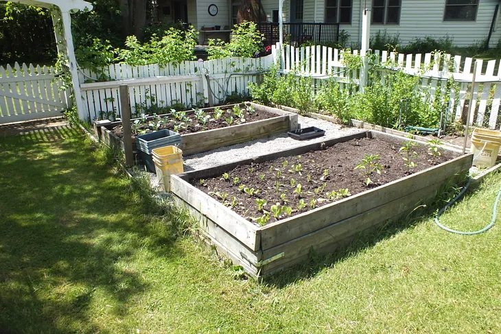 Two of the boxes of vegetables we managed to partially plant