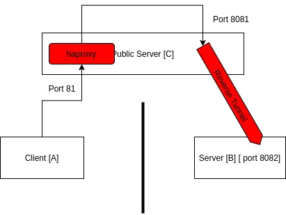 haproxy and ssh reverse proxy ‘duo’: linking 2 separate client server