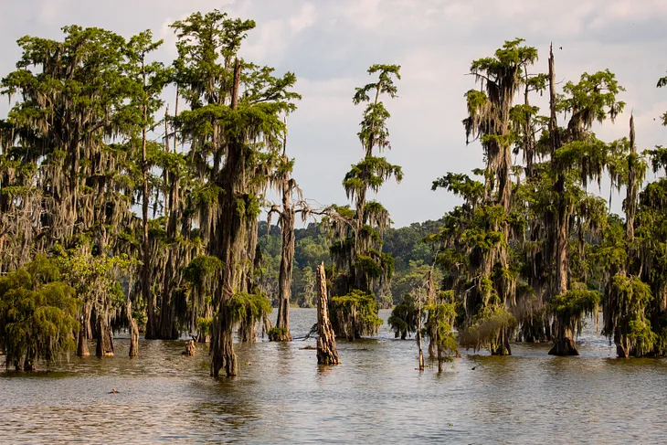 Cajun Country in Louisiana: Food, Music, History & Fun