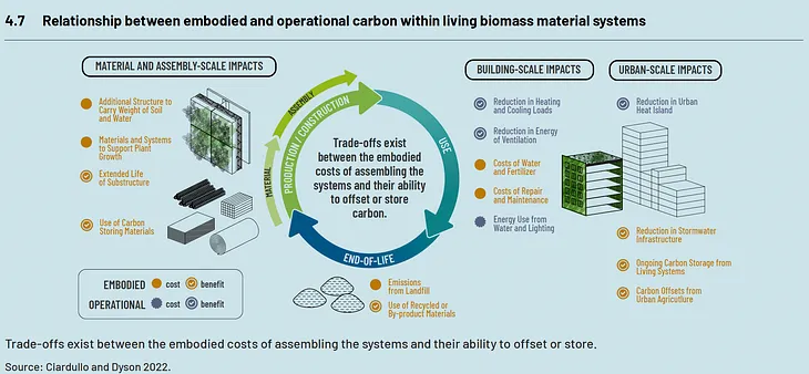 The Carbon Trade-Off in Living Biomass Material Systems