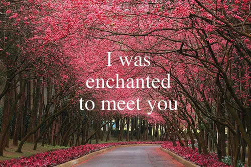 I was Enchanted to meet you.