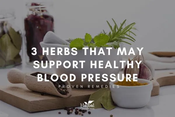 3 HERBS THAT MAY SUPPORT HEALTHY BLOOD PRESSURE | HERBAL GOODNESS