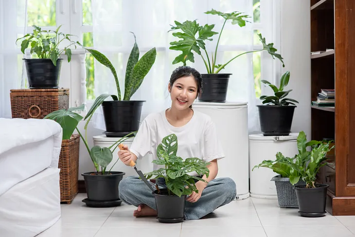 “Easy-Breezy Care: Low-Maintenance Plants for Busy Apartment Lives”