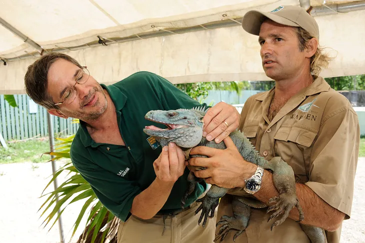 Parasites in Blue Iguanas