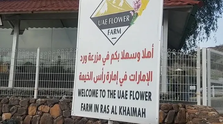 Discover the UAE Flowers Farm in Fujairah’s Wadi Asimah