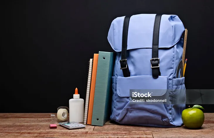 Backpacks for School and Travel !