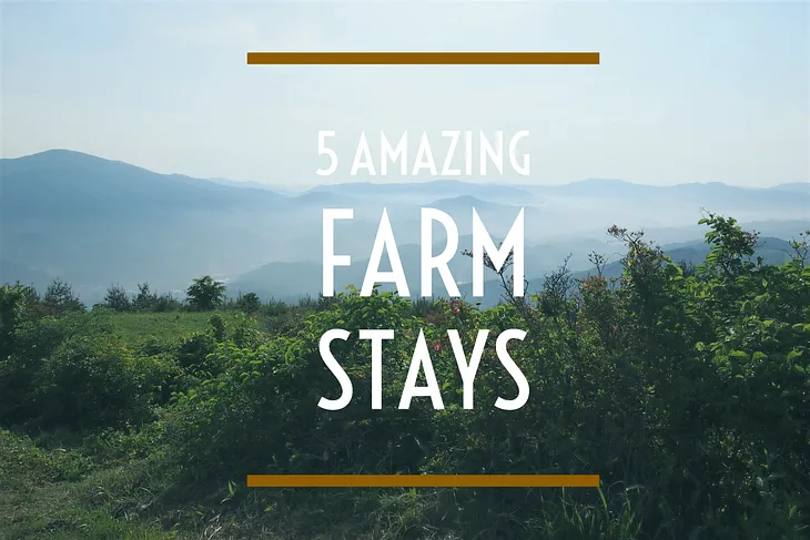 5 Amazing Farm Stays in Japan