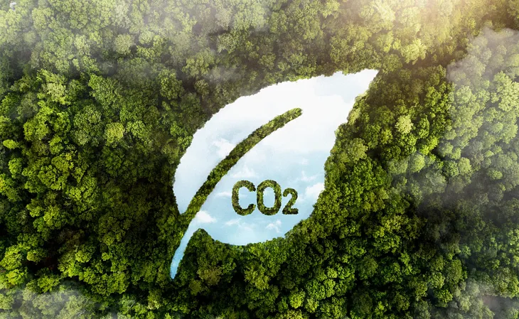 The Truth About Carbon Offsets: A Deep Dive