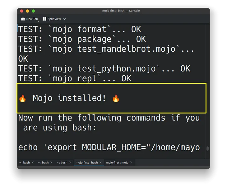 How to Install Mojo🔥on Linux