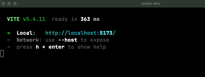 Console output of a running vite project