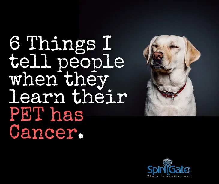 Six things I tell people when they learn about their Pet Cancer