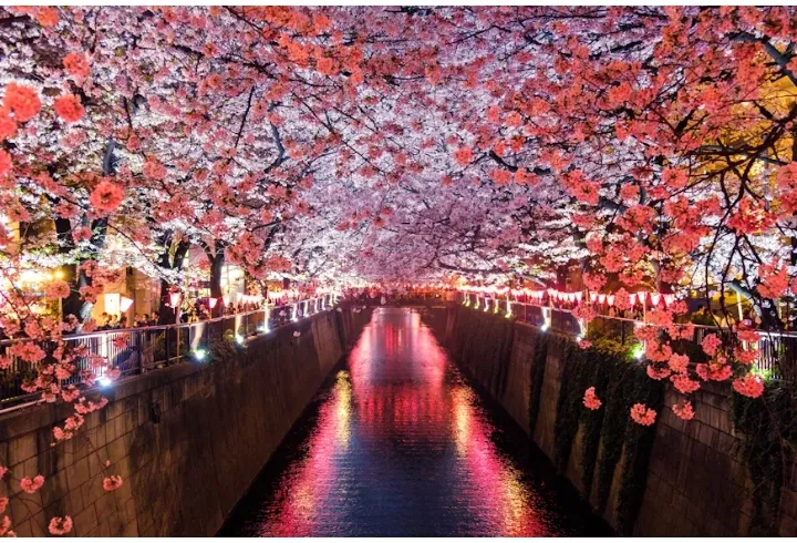 Famous City of Japan: Tokyo