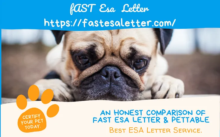 An Honest Comparison of Fast ESA Letter & Pettable — Best ESA Letter Service.