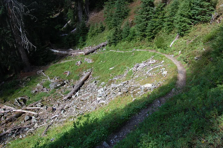 Measured Paths and Tutored Eyes